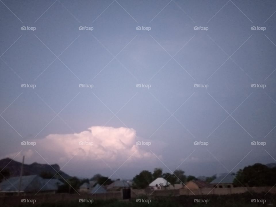 cloudy sky, with tree landscape