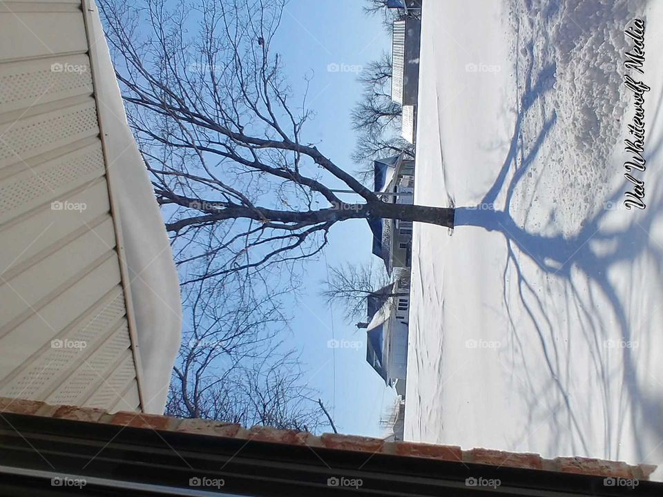 snow tree houses sky blue