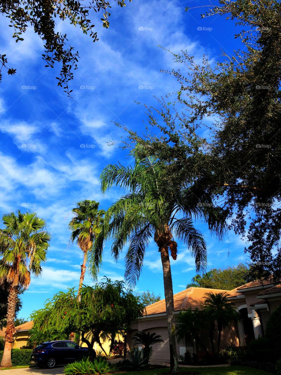 Blue sky and Florida 