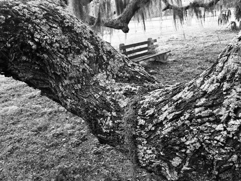 Abandoned Sunland Mental Institution urbex