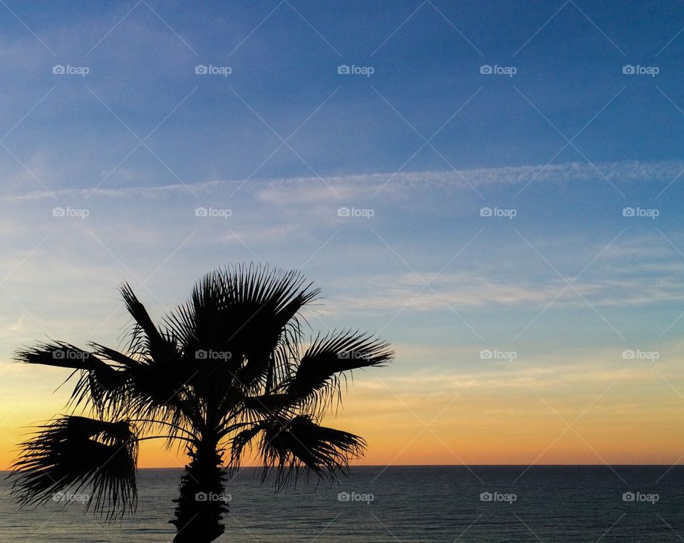 Florida beach Sunrise