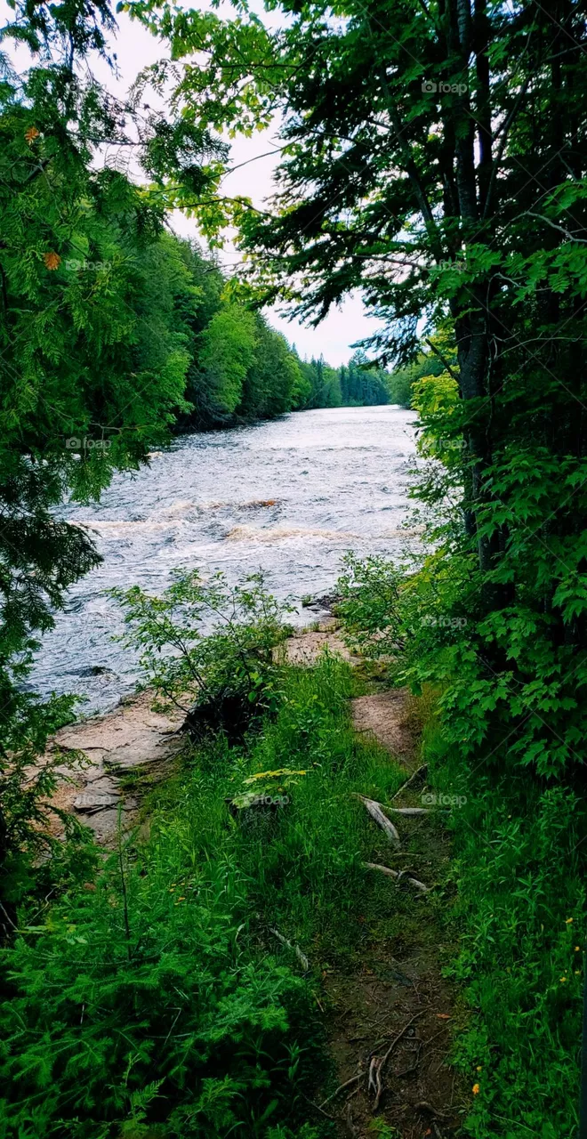Tranquility