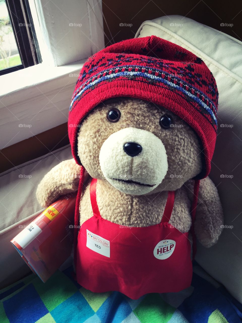 Ted bear ready to read