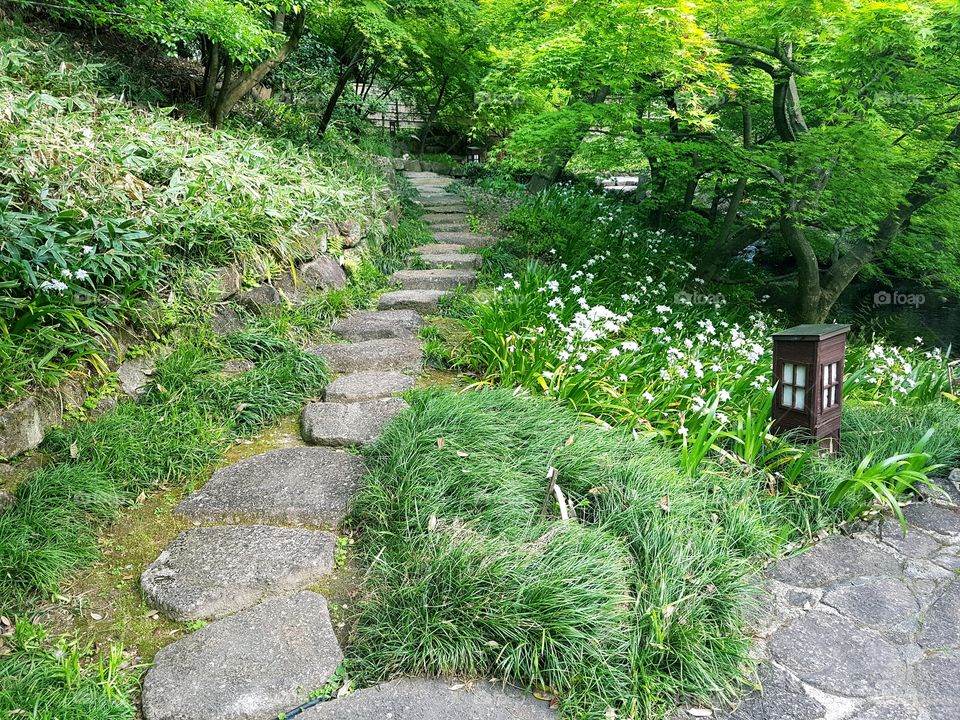 Tokugawa garden foot path