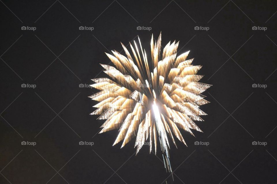 fireworks 287