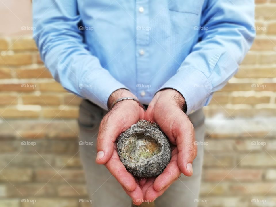 Nest of birds in the hands of a man