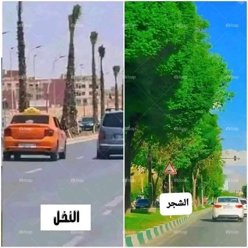 Glory be to God, the magnificent and picturesque view and the natural green trees are a view that is nothing more wonderful than it