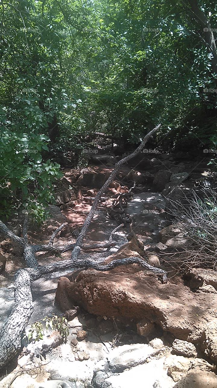 river runnoff. this lets the rain run to it so the streets won't get flooded