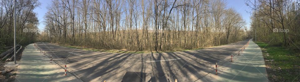 Panorama of bike lane