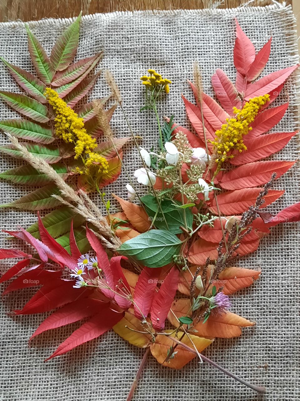 autumn coloured leaves and flowers