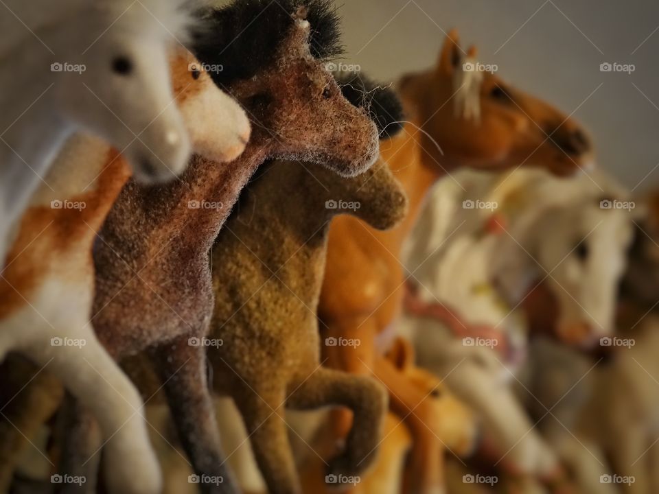 Toy Horses. Collection Of Toy Horses
