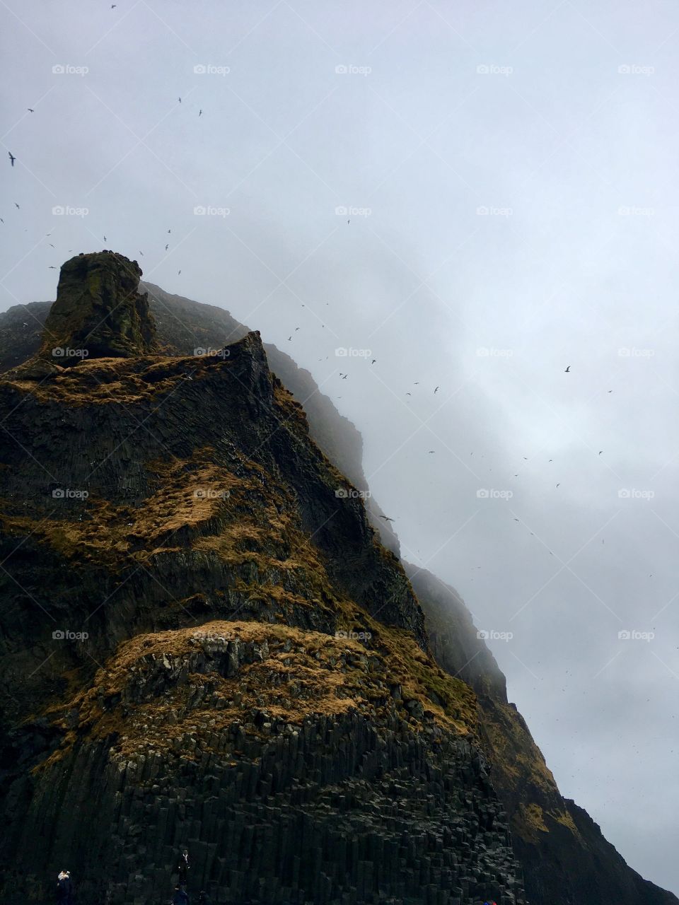 Basalt columns cliff on black sand beach, Iceland 