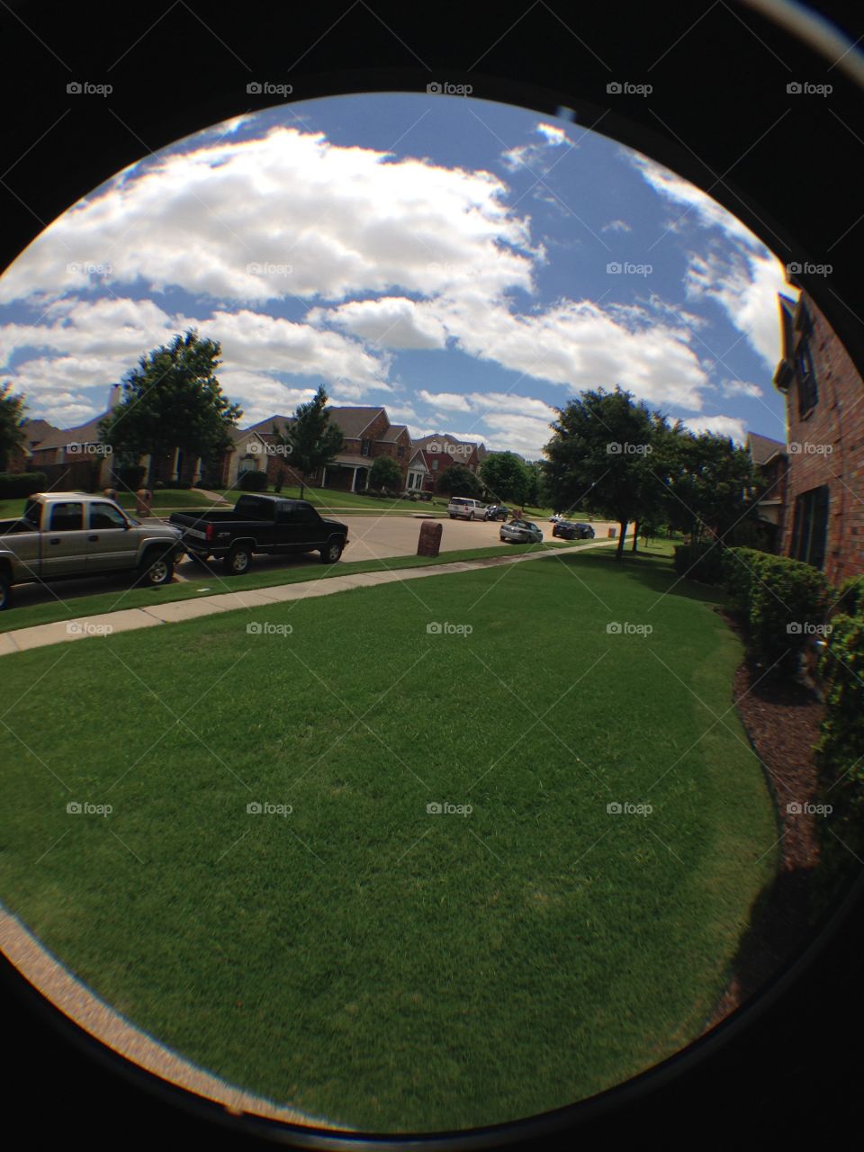 Fish bowl view. View of neighborhood through a fishbowl lens