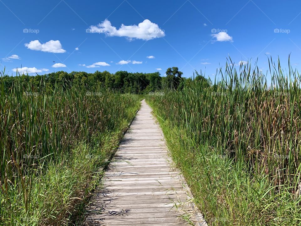Marsh boardwalk 