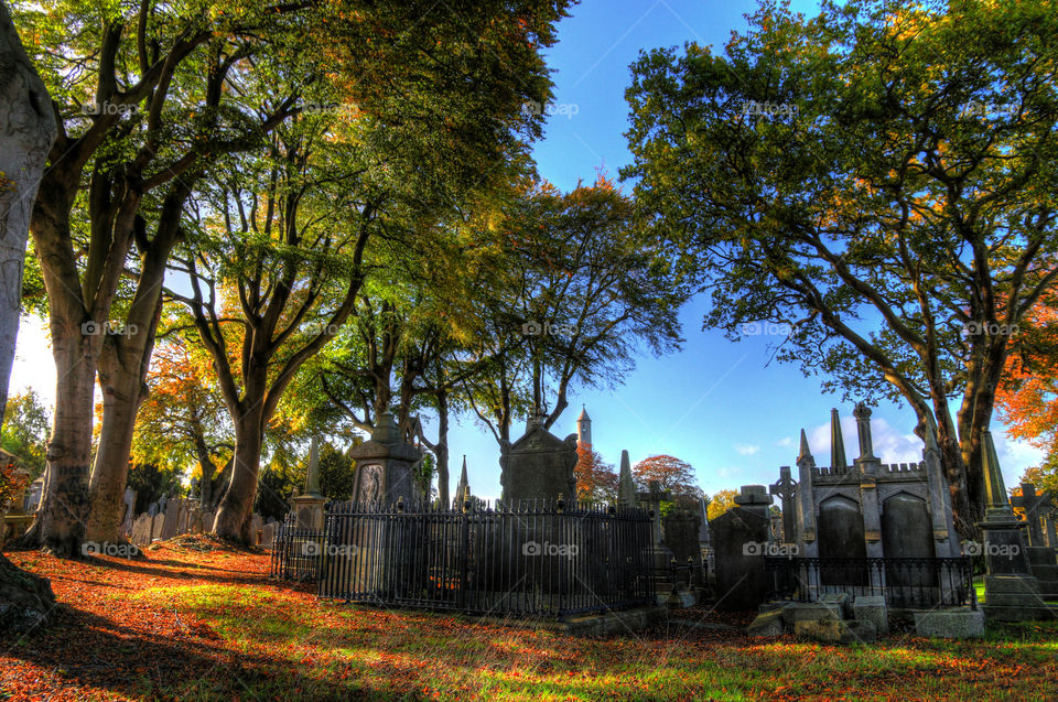 Glasnevin Cemetery. HDR photo taken at Glasnevin Cemetery in Dublin