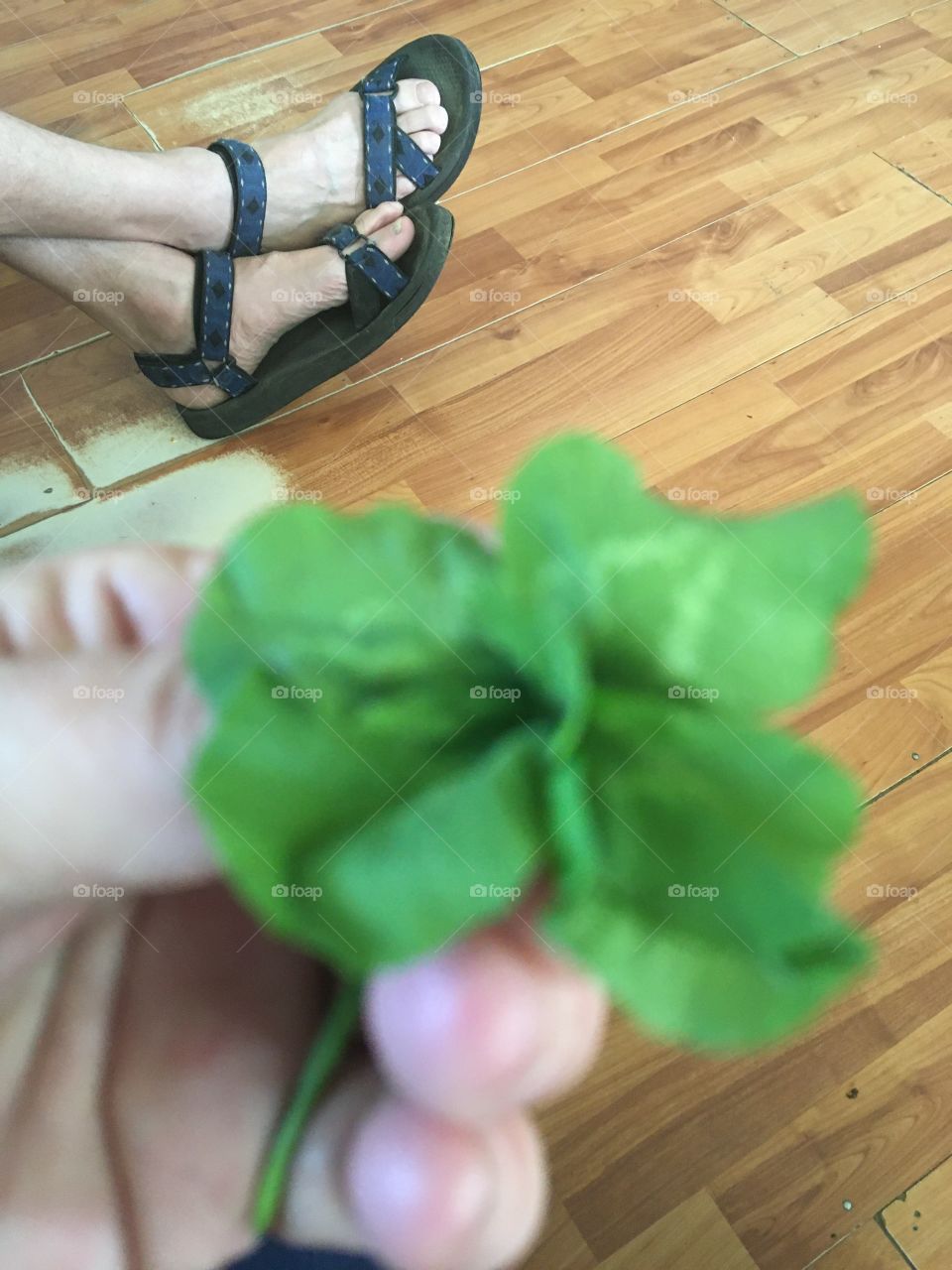 My hubby found a six leaf clover I don’t know if that means really good luck or what.