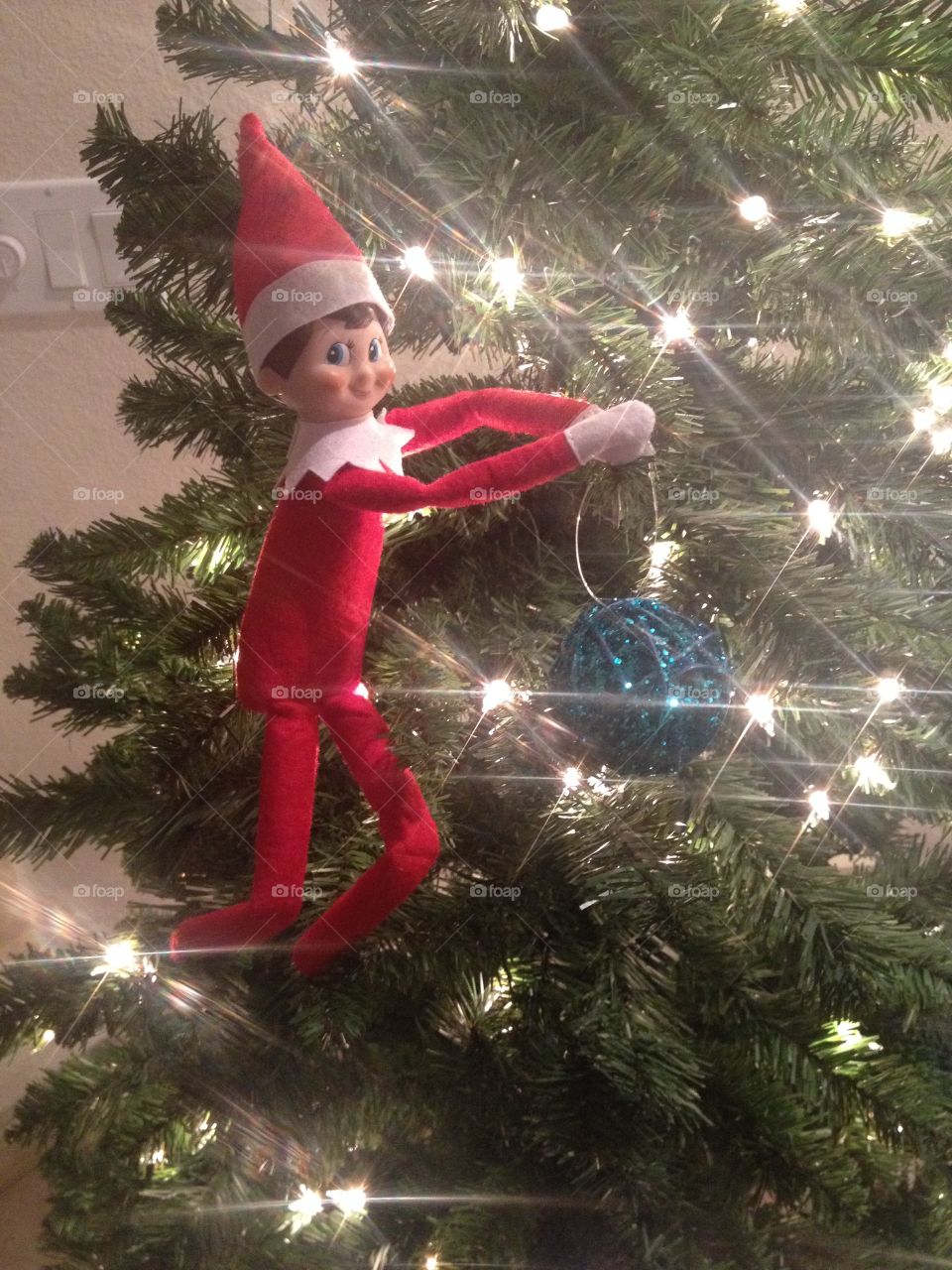 Elf on the Tree