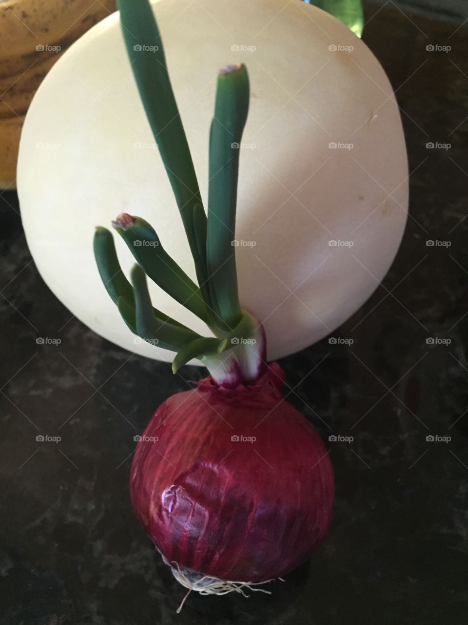 Onion with attitude 