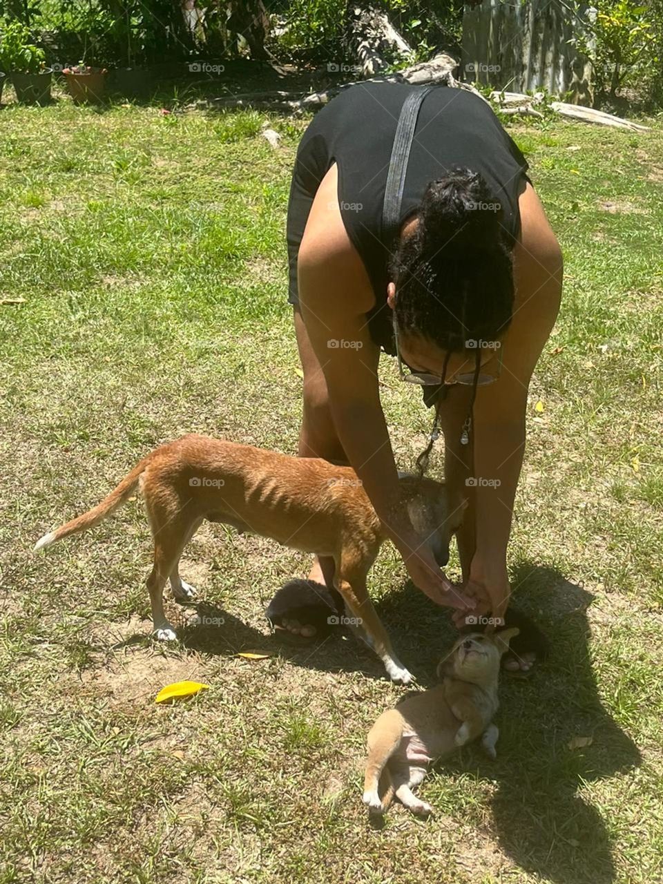 when you or just too carrying for your animals.you will always have a wonderful time.