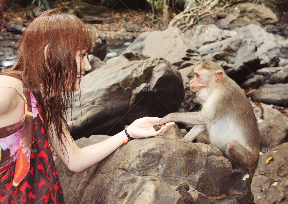 the girl feeds the monkey with nuts