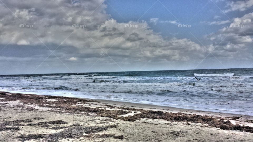 beach on cloudy day