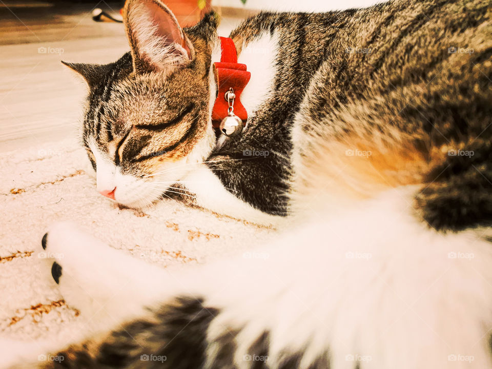 Silence before The storm