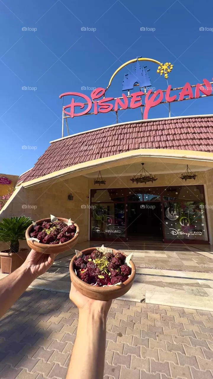 Disneyland