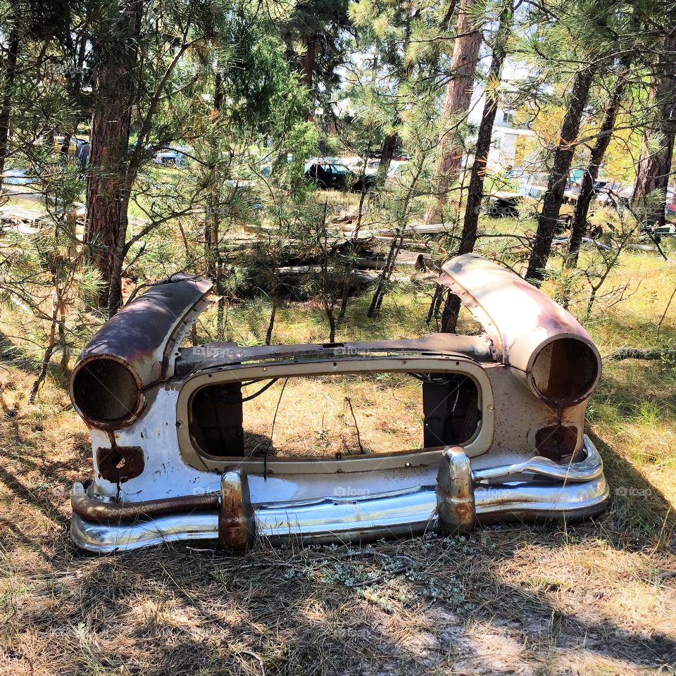 Front end in the forest