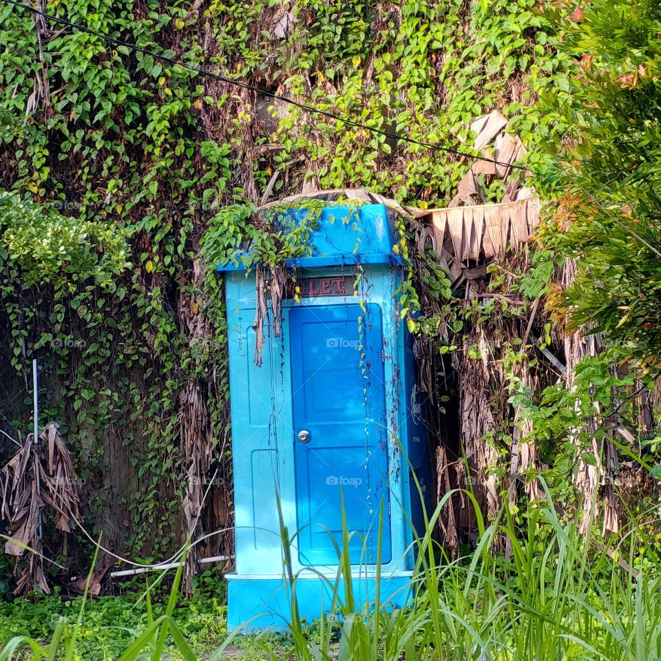 mobile toilets placed in public areas