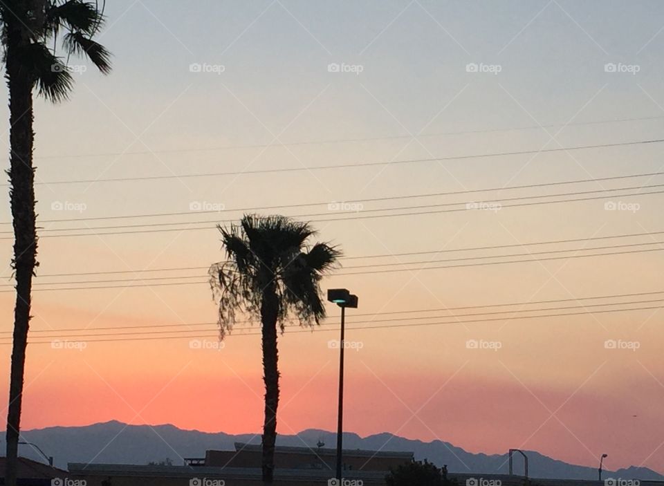 Orange sky sunset with palm tree silhouette 