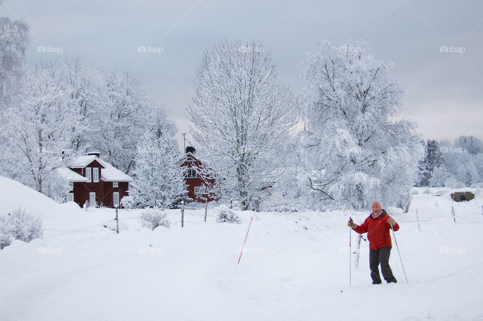 winter in the country