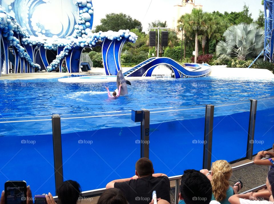 Blue Horizons Dolphin Theater-SeaWorld