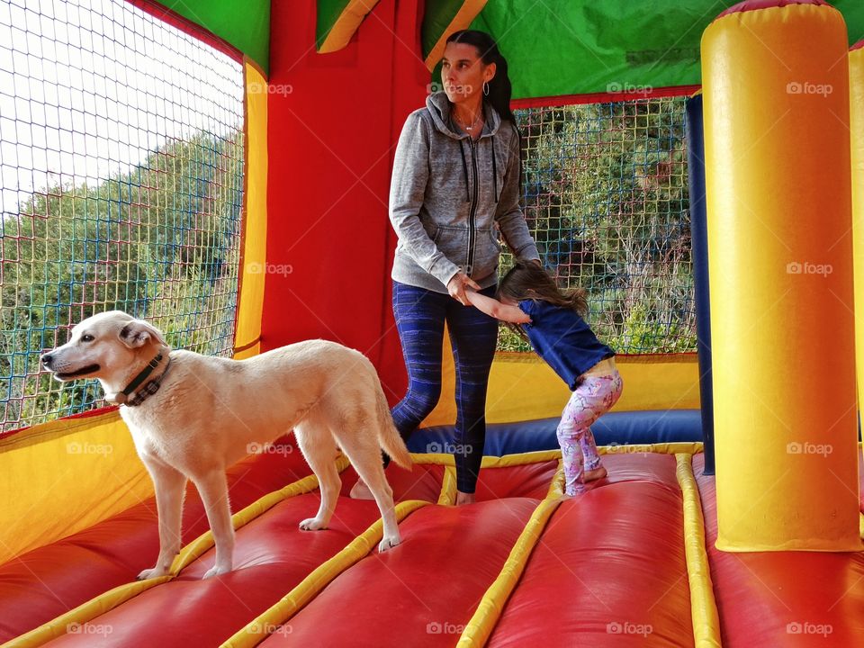 Bounce House Fun. Jumping In The Bounce House With The Family Dog
