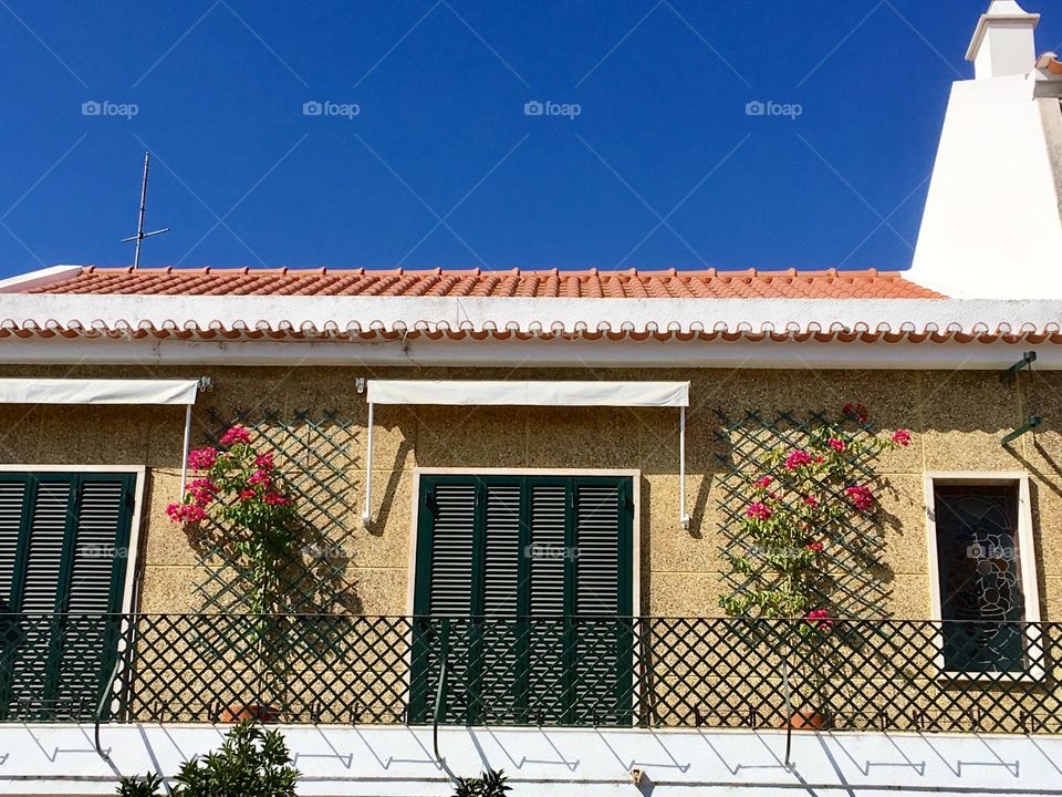 Terrace & Flower Vases 