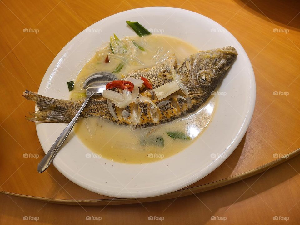 Delicious sea food fish dishes