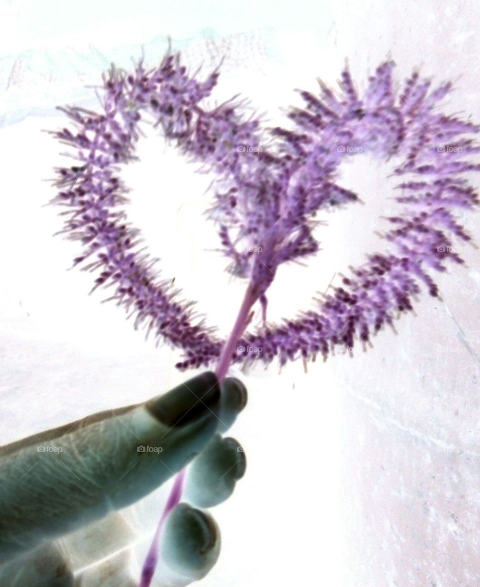 Photo made of grass heart / heart art work / grass design photo / heart made / heart design made of heart / heart made design / magnificent heart photo /