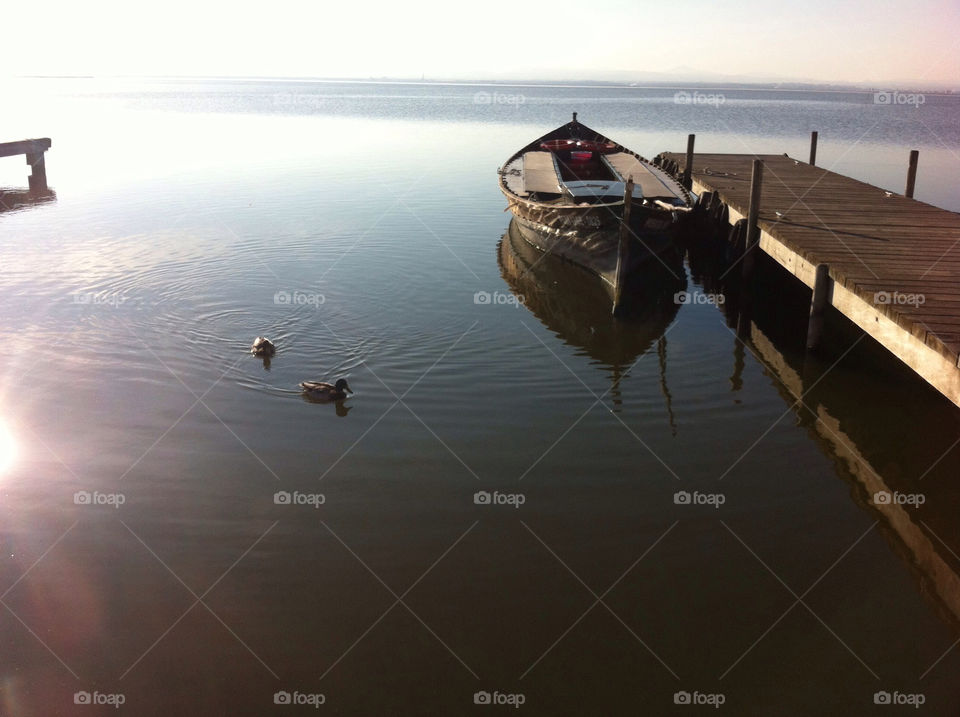 wood water lake park by benjaminet