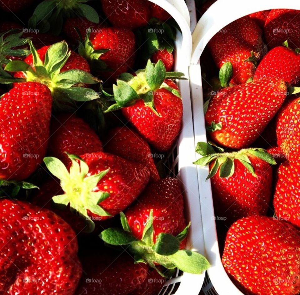 Colorful Strawberries Pop against White Baskets.  A bright, delicious, enticing, and vibrant treat!