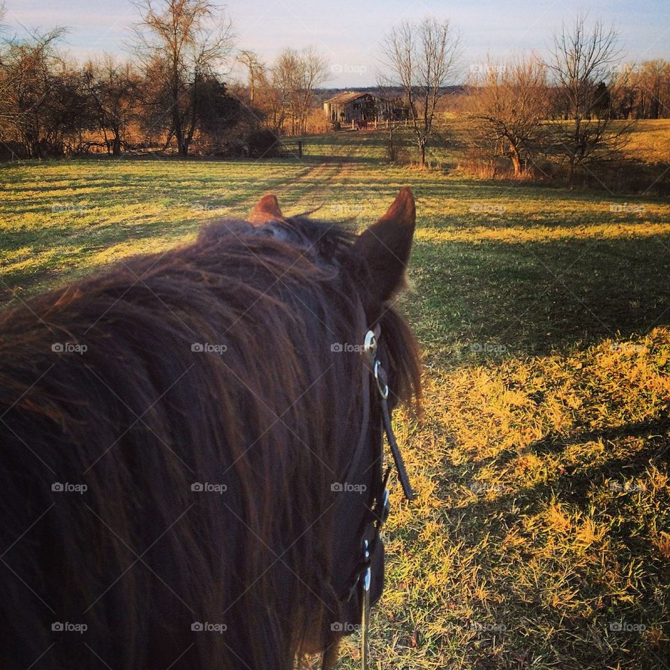 Ride the rolling hills of Kentucky