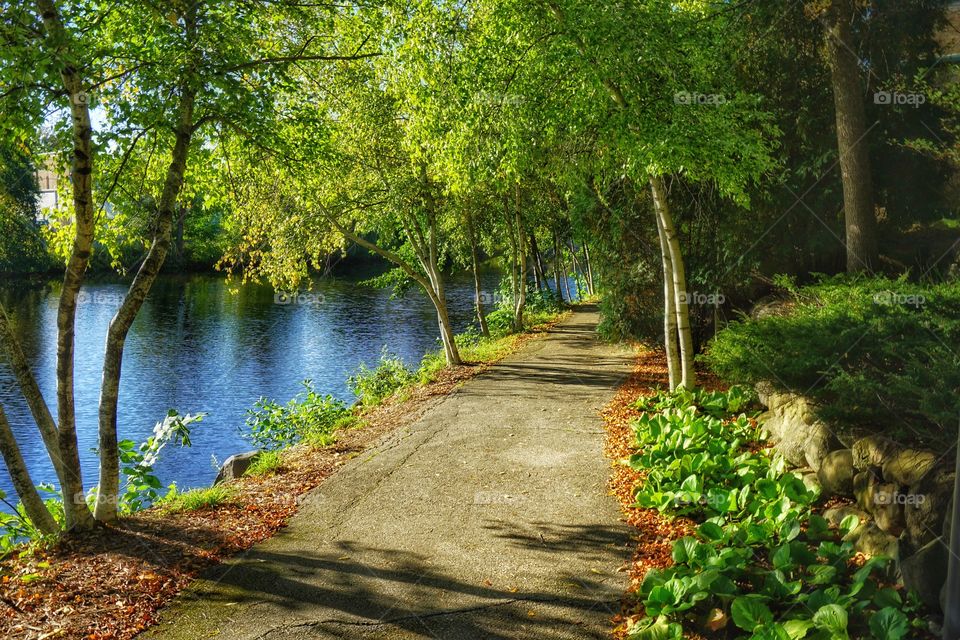 Road near the river