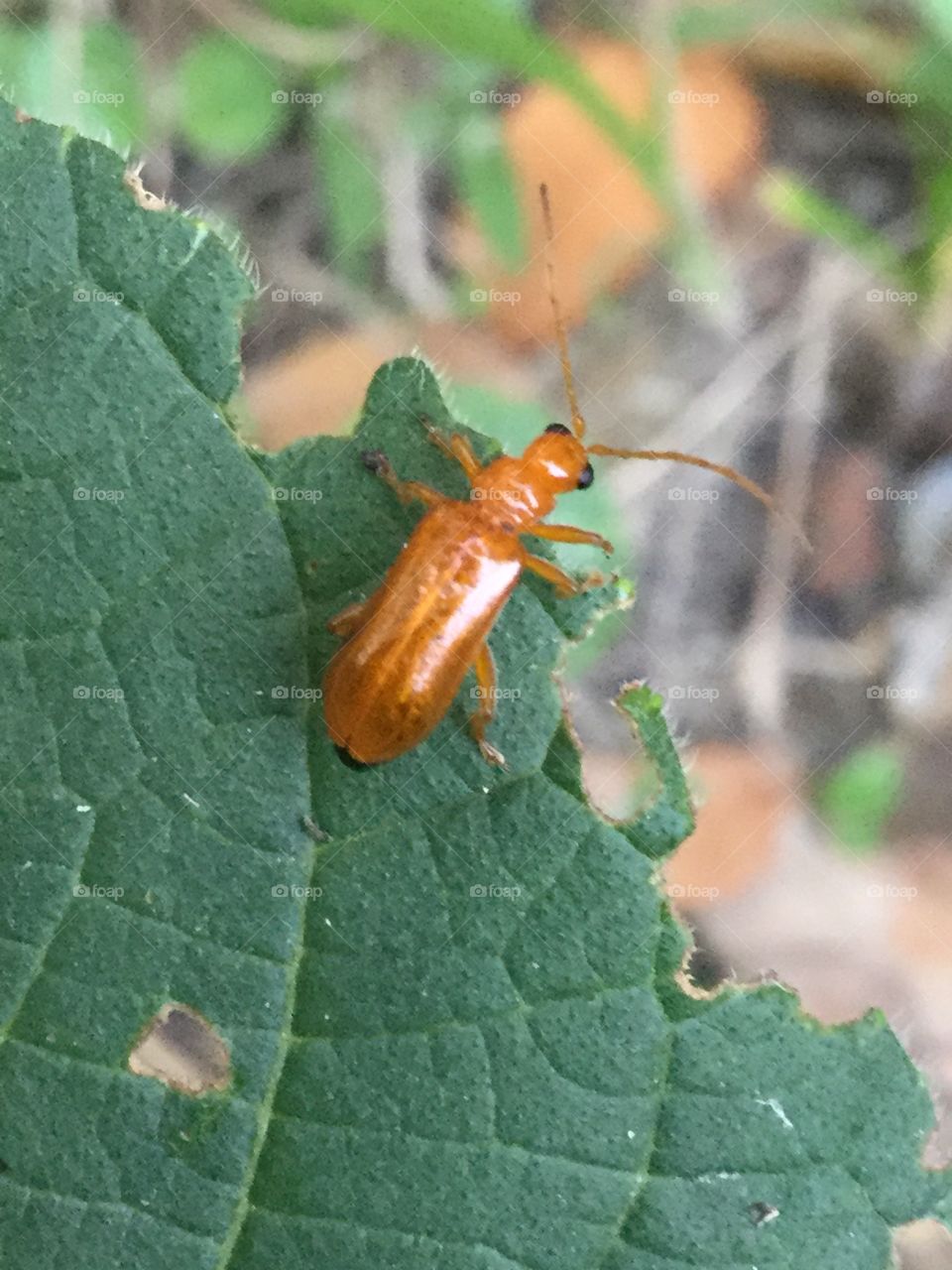 It’s also life.....