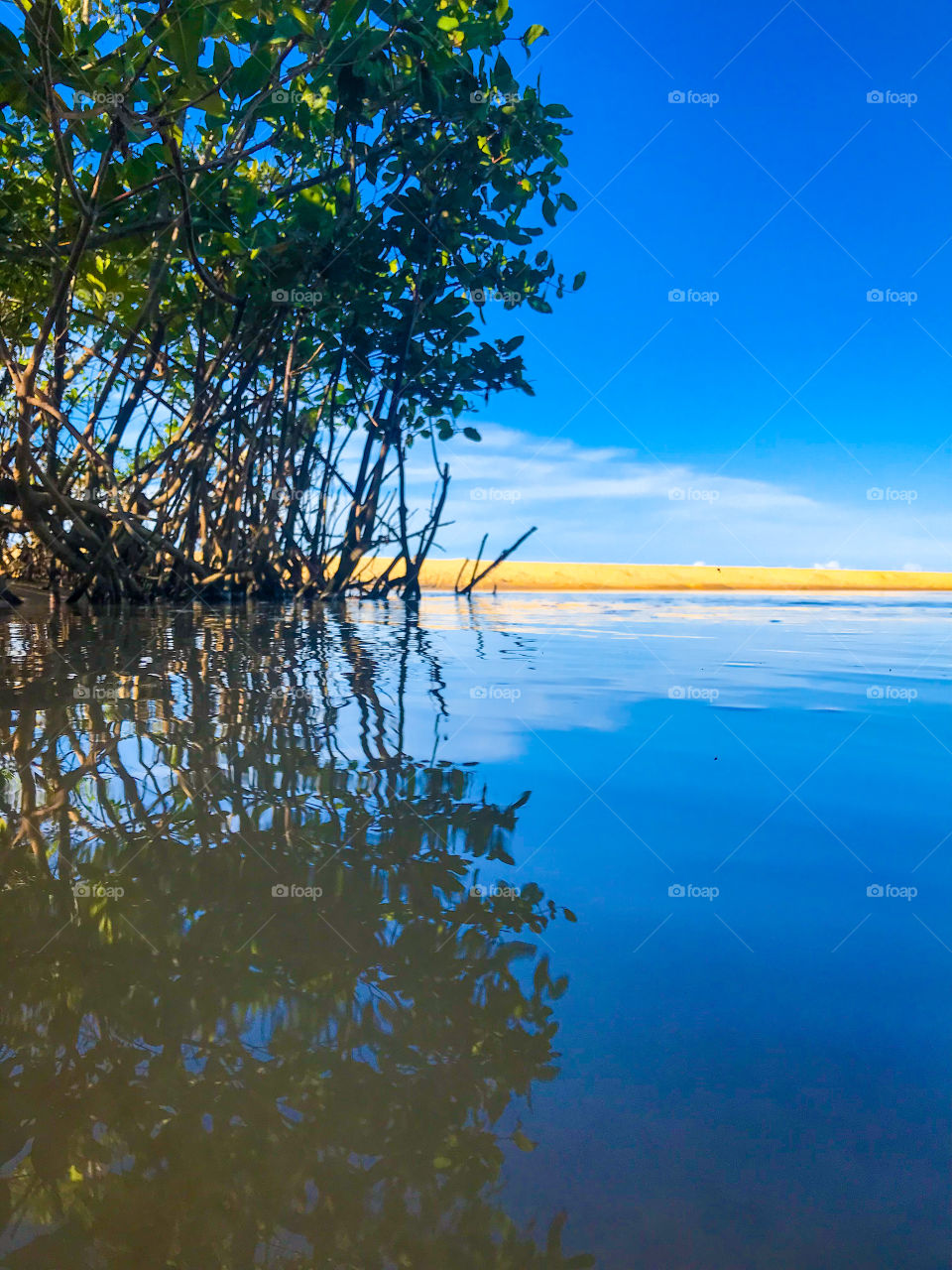 the river that flows into the sea