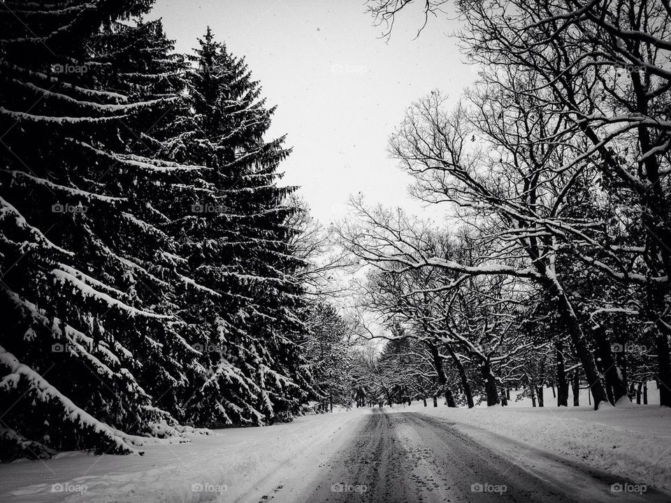 Winter road in Wisconsin 