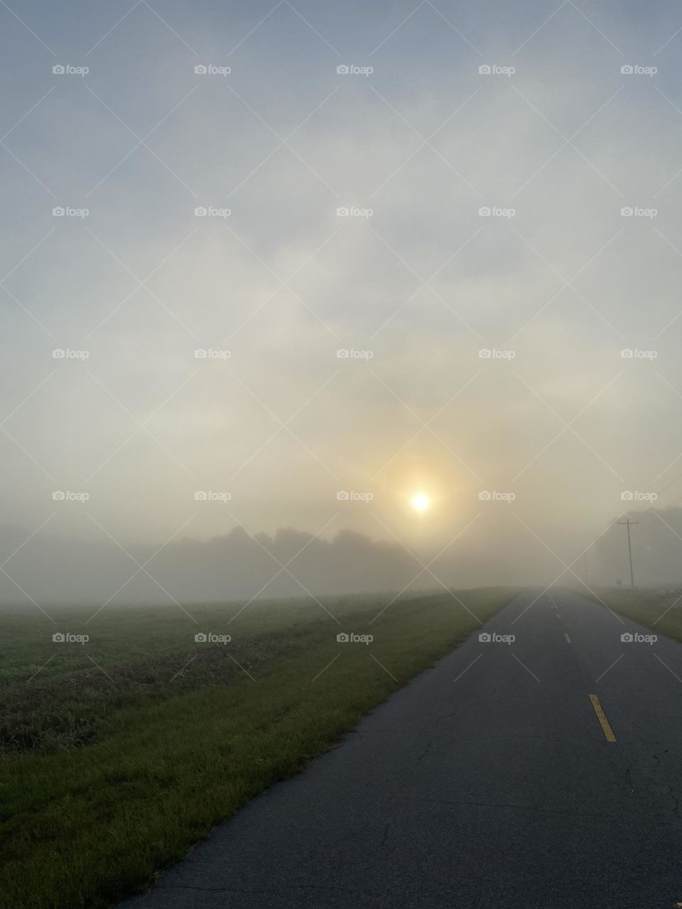 A foggy walk this morning but we did it