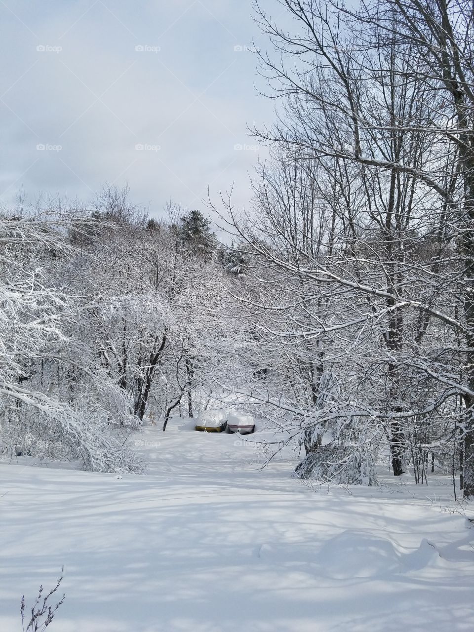 The day shines of of the white glittery snow