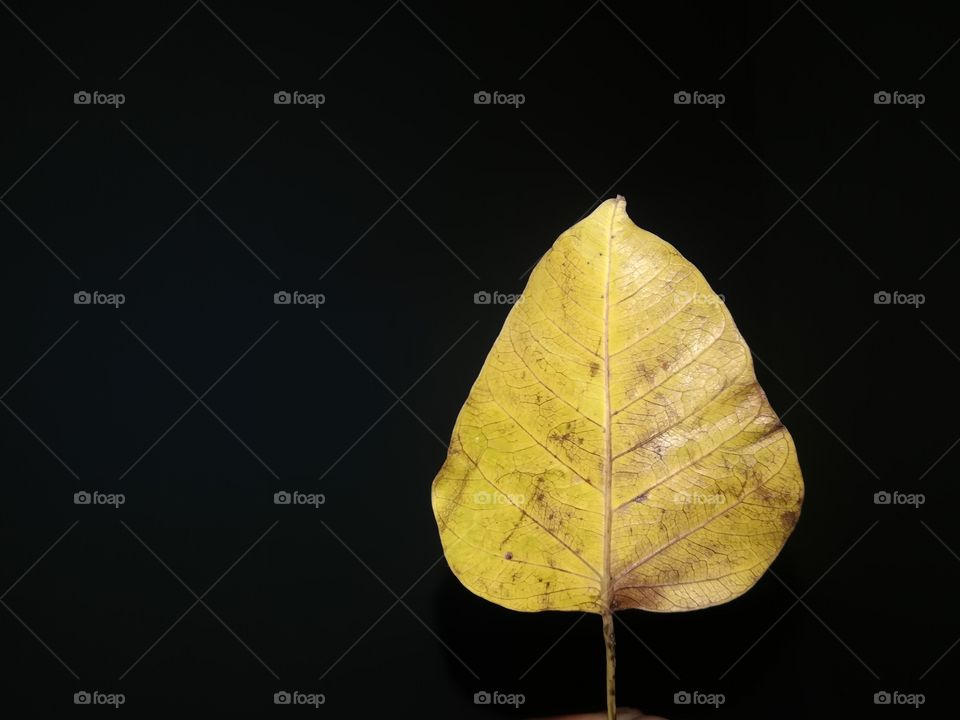 There is a time in the last few days of summer when the ripeness of autumn fills the air.