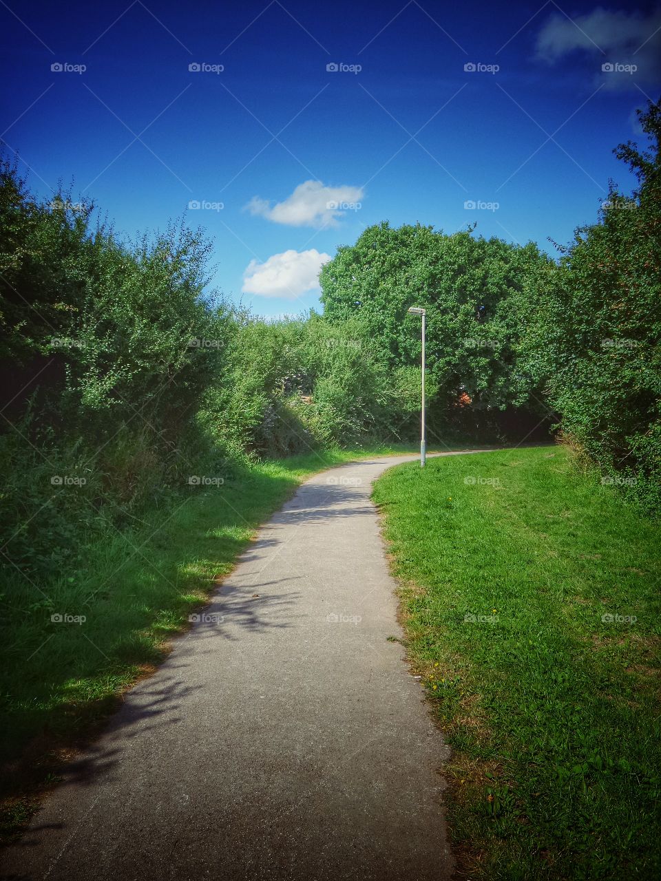 Path