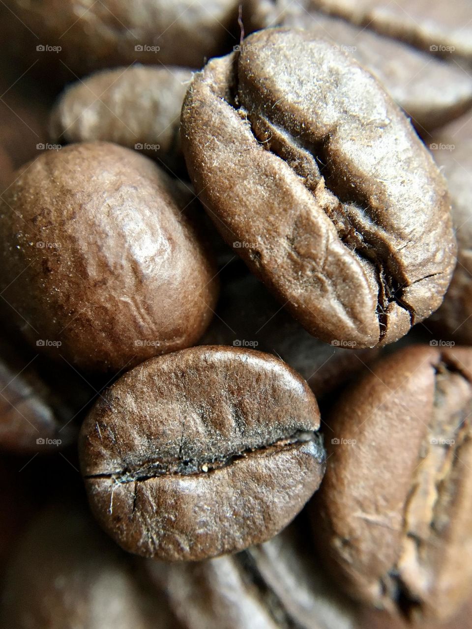 Coffee beans in macro, macrophoto