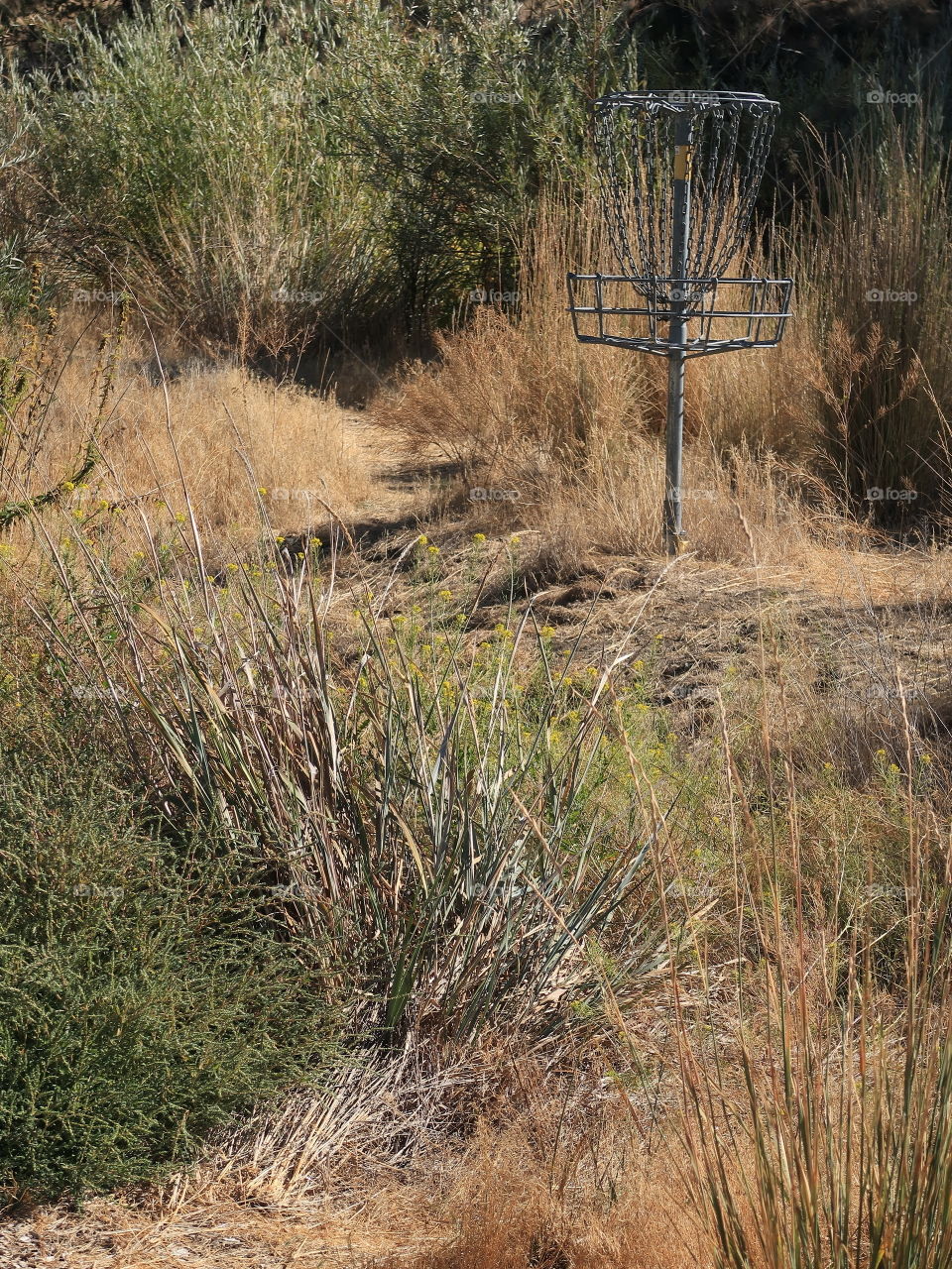 Frisbee Golf Course at Rimrock Park in Prineville in Central Oregon on a sunny fall day. 