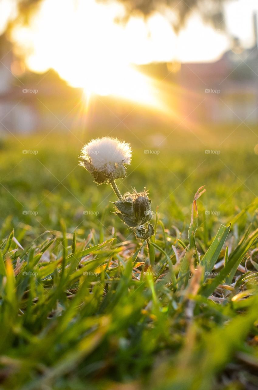 Take care of your planet 